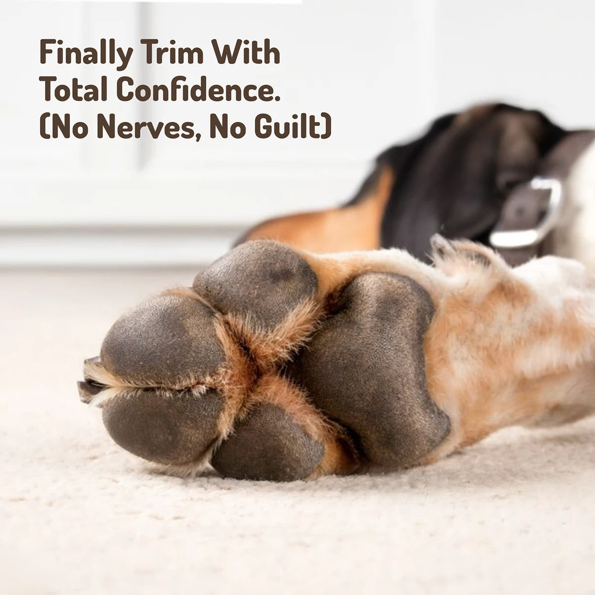 The Safety-LED Trimmer